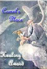 Healing Place Award